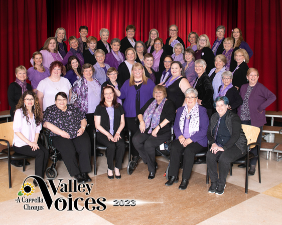 Valley Voices 8x10