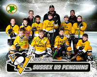 Hockey U9 Penguins